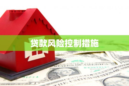 北关贷款风险控制措施