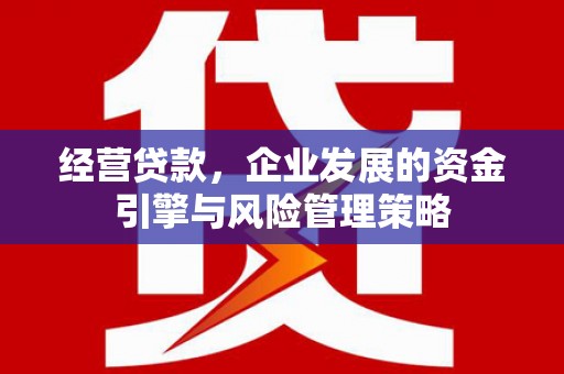 北关经营贷款，企业发展的资金引擎与风险管理策略