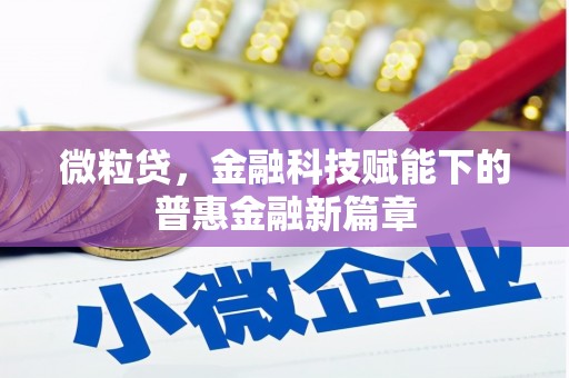 北关微粒贷，金融科技赋能下的普惠金融新篇章