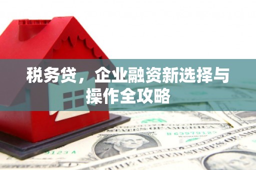北关税务贷，企业融资新选择与操作全攻略