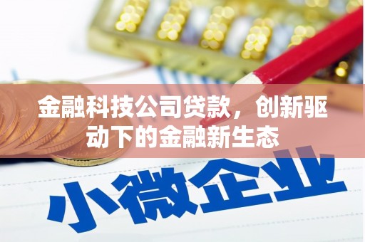 北关金融科技公司贷款，创新驱动下的金融新生态