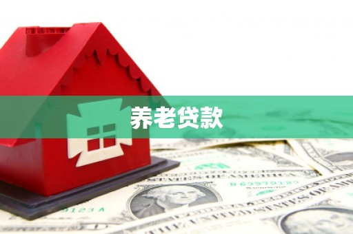 北关养老贷款