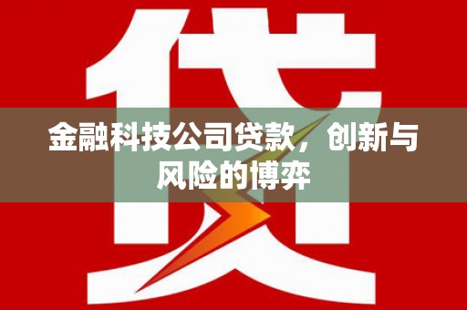 北关金融科技公司贷款，创新与风险的博弈
