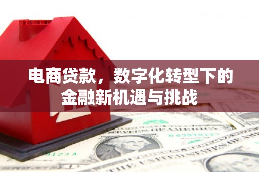 北关电商贷款，数字化转型下的金融新机遇与挑战