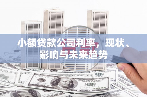 北关小额贷款公司利率，现状、影响与未来趋势