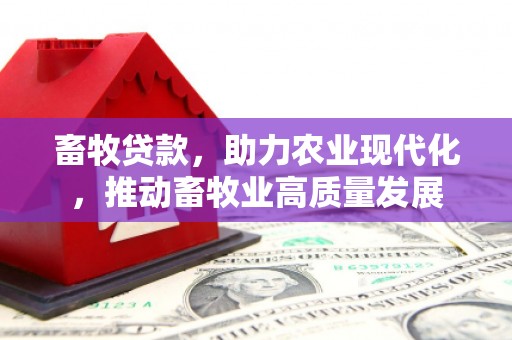 北关畜牧贷款，助力农业现代化，推动畜牧业高质量发展