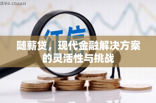 北关随薪贷，现代金融解决方案的灵活性与挑战