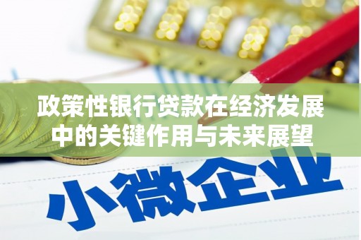 北关政策性银行贷款在经济发展中的关键作用与未来展望