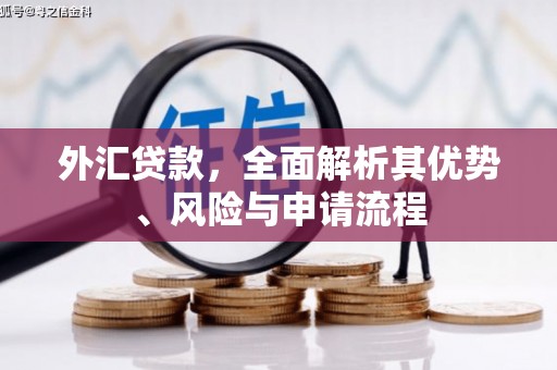 北关外汇贷款，全面解析其优势、风险与申请流程