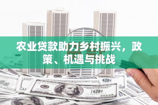 北关农业贷款助力乡村振兴，政策、机遇与挑战