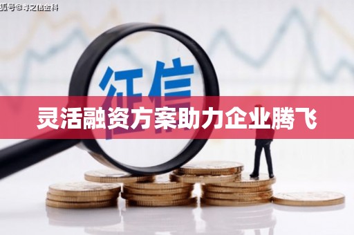 北关灵活融资方案助力企业腾飞