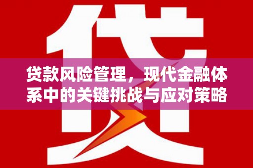 北关贷款风险管理，现代金融体系中的关键挑战与应对策略