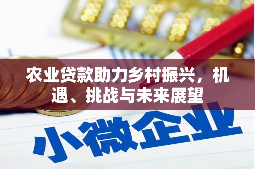 北关农业贷款助力乡村振兴，机遇、挑战与未来展望