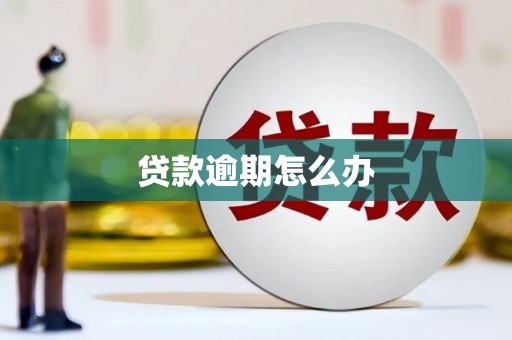 北关贷款逾期怎么办