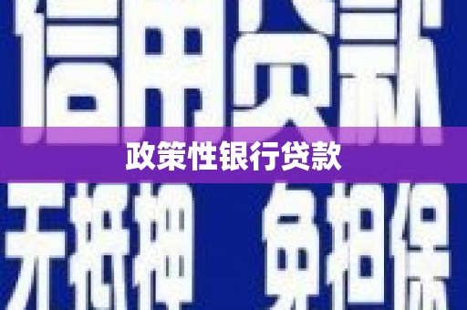 北关政策性银行贷款
