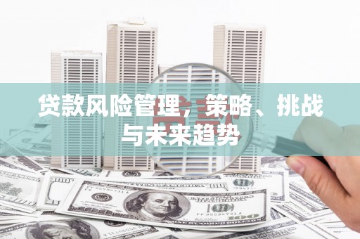 北关贷款风险管理，策略、挑战与未来趋势