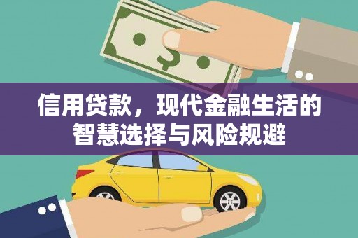北关信用贷款，现代金融生活的智慧选择与风险规避
