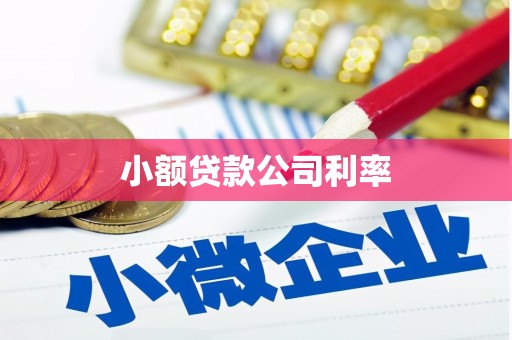 北关小额贷款公司利率