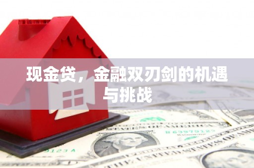 北关现金贷，金融双刃剑的机遇与挑战