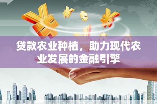 北关贷款农业种植，助力现代农业发展的金融引擎