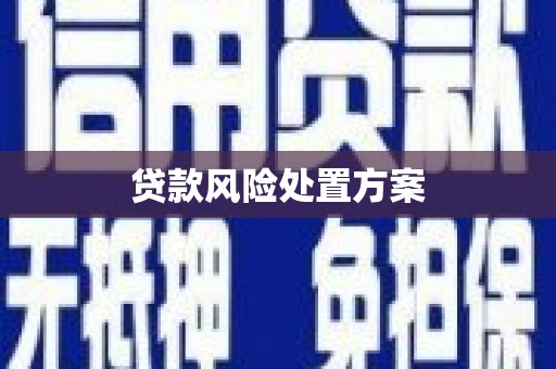 北关贷款风险处置方案