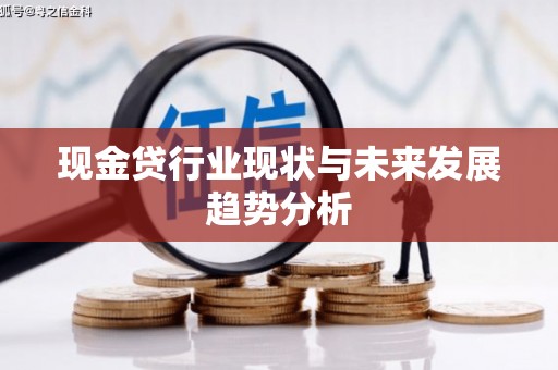 北关现金贷行业现状与未来发展趋势分析