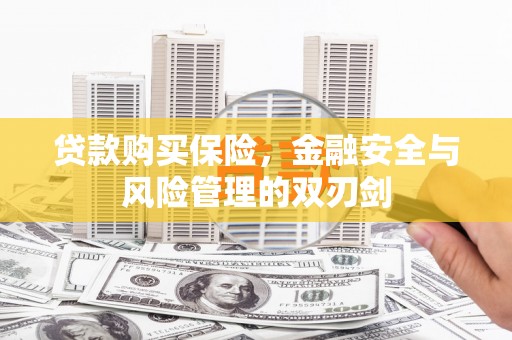 北关贷款购买保险，金融安全与风险管理的双刃剑