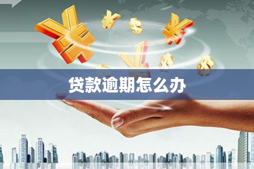 北关贷款逾期怎么办
