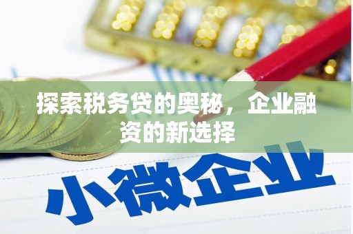 北关探索税务贷的奥秘，企业融资的新选择