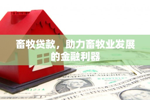 北关畜牧贷款，助力畜牧业发展的金融利器