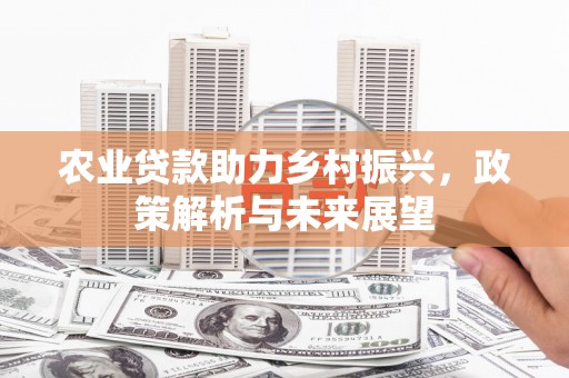 北关农业贷款助力乡村振兴，政策解析与未来展望