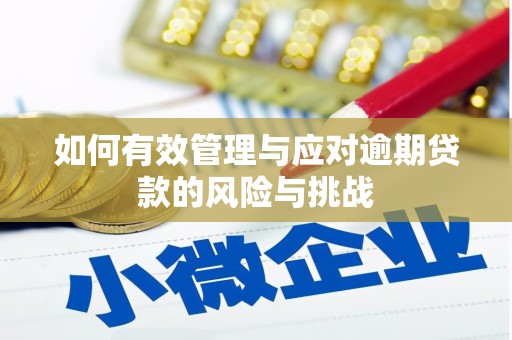 北关如何有效管理与应对逾期贷款的风险与挑战