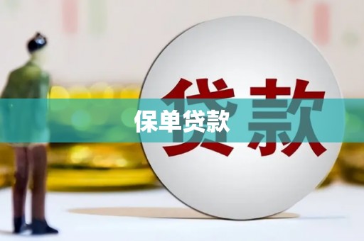 北关保单贷款