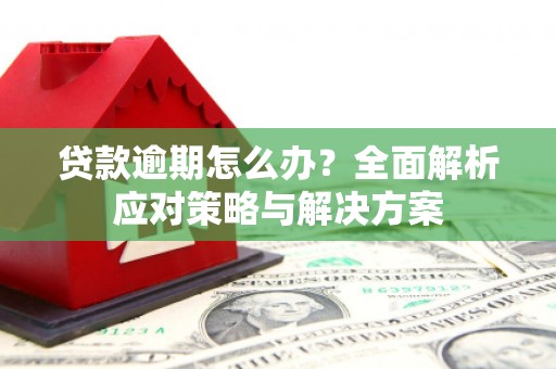 北关贷款逾期怎么办？全面解析应对策略与解决方案