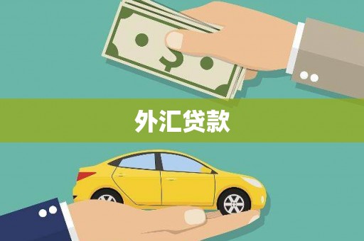 北关外汇贷款