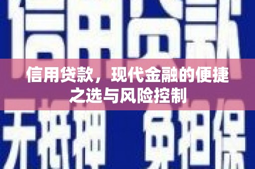北关信用贷款，现代金融的便捷之选与风险控制