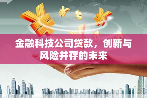 北关金融科技公司贷款，创新与风险并存的未来