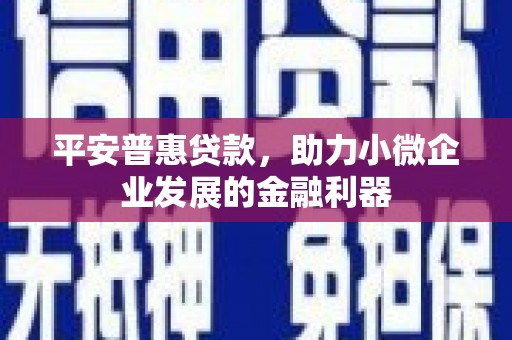 北关平安普惠贷款，助力小微企业发展的金融利器
