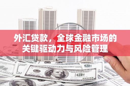 北关外汇贷款，全球金融市场的关键驱动力与风险管理