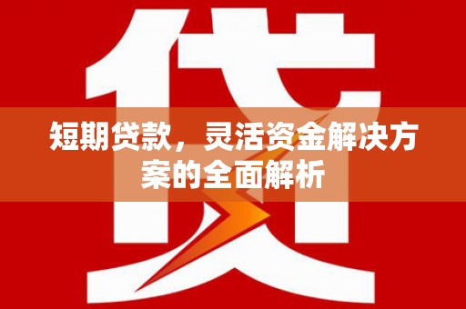 北关短期贷款，灵活资金解决方案的全面解析