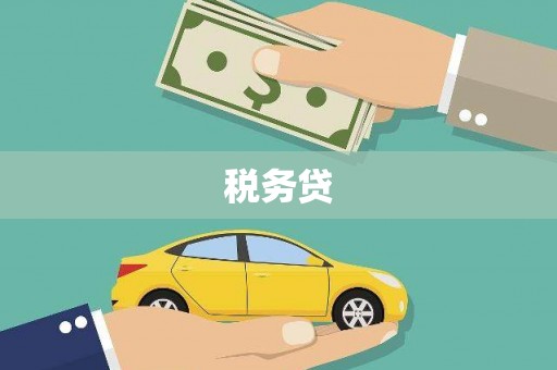 北关税务贷