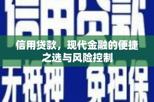 北关信用贷款，现代金融的便捷之选与风险控制