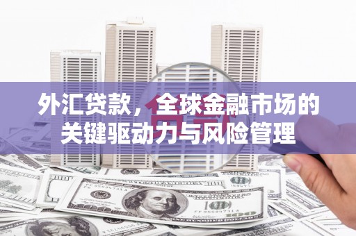 北关外汇贷款，全球金融市场的关键驱动力与风险管理