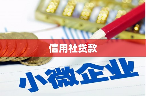 北关信用社贷款