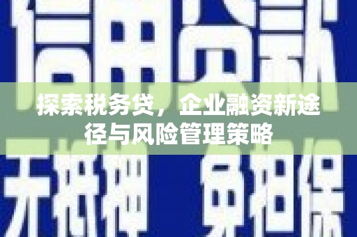 北关探索税务贷，企业融资新途径与风险管理策略