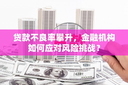 北关贷款不良率攀升，金融机构如何应对风险挑战？