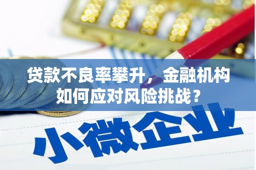 北关贷款不良率攀升，金融机构如何应对风险挑战？