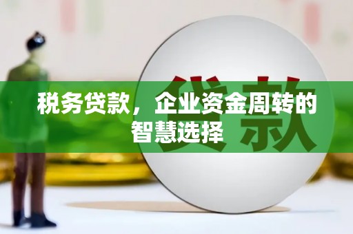 北关税务贷款，企业资金周转的智慧选择