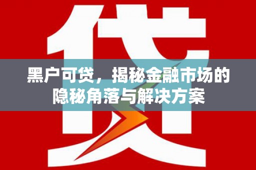 北关黑户可贷，揭秘金融市场的隐秘角落与解决方案