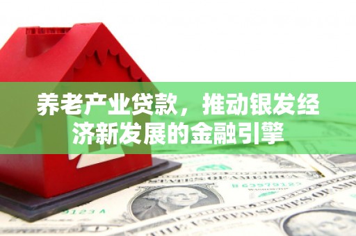 北关养老产业贷款，推动银发经济新发展的金融引擎